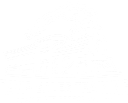 Davis Sales Training